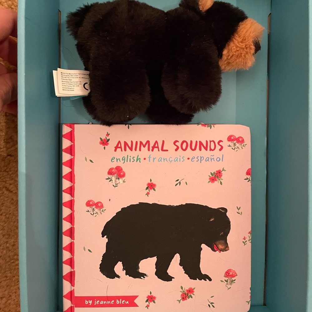 Animal Sounds Board Book + Mini Bear Plush Toy
